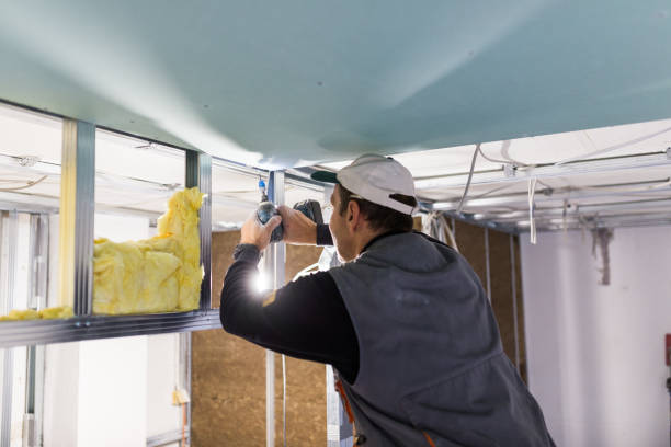 Best Pipe and Duct Insulation  in Ridgeville, SC